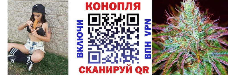 mega как войти  маркетплейс состав  Верещагино  Шишки марихуана марихуана  купить наркоту 